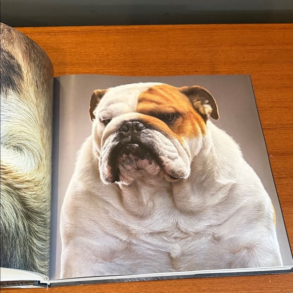 Dogs Book - Black Cover - Picture 5 of 17